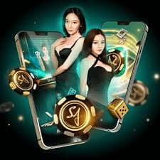 spinngo